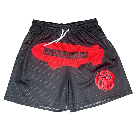 TWIY Black Mesh Shorts