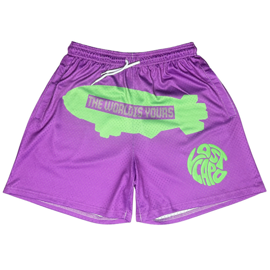 TWIY Purple Mesh Shorts