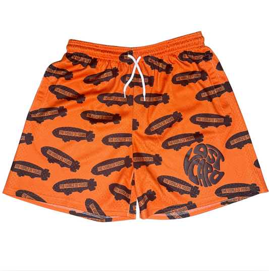 TWIY Orange Mesh Shorts
