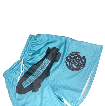 TWIY Blue Mesh Shorts
