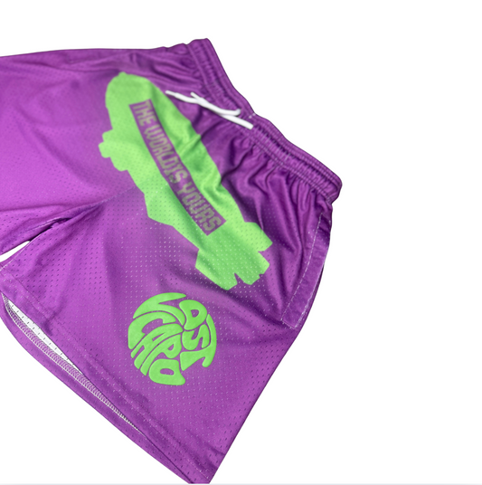 TWIY Purple Mesh Shorts