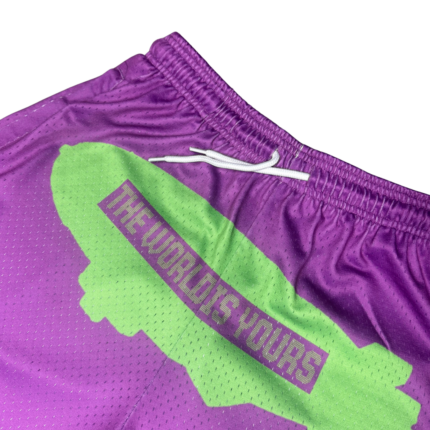 TWIY Purple Mesh Shorts