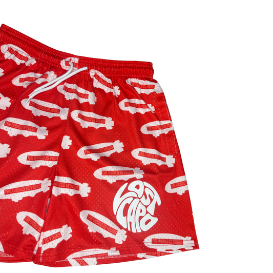 TWIY Red Mesh Shorts