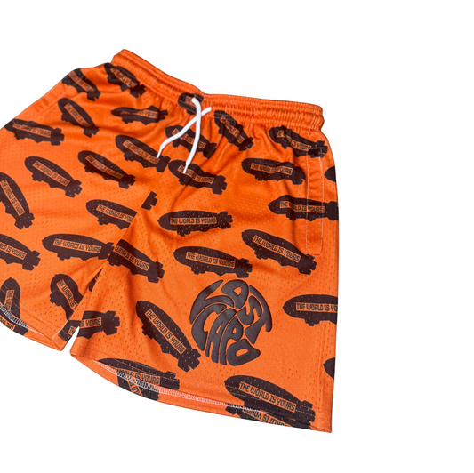 TWIY Orange Mesh Shorts